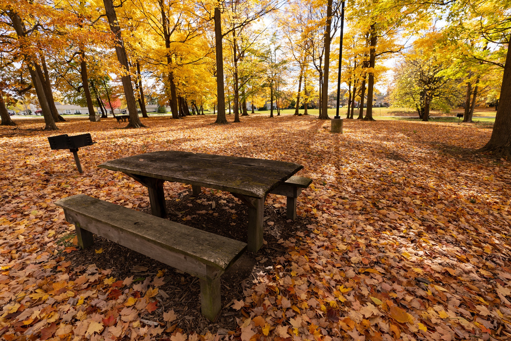 Wooden picnic table in autumn park